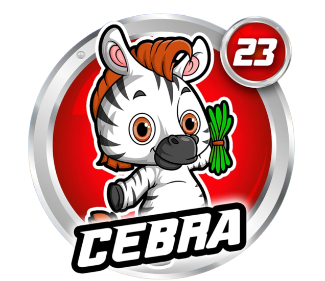 CEBRA