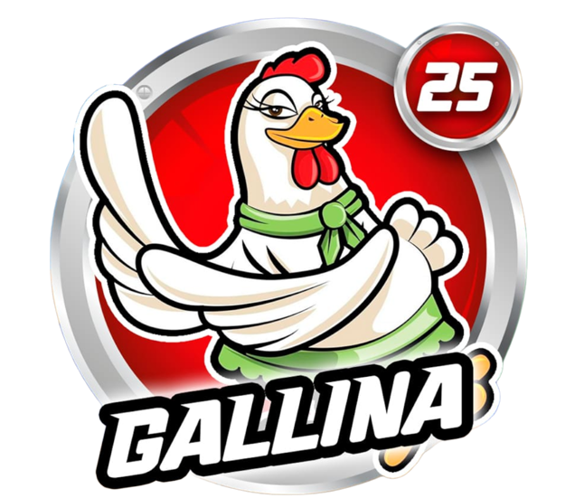 GALLINA