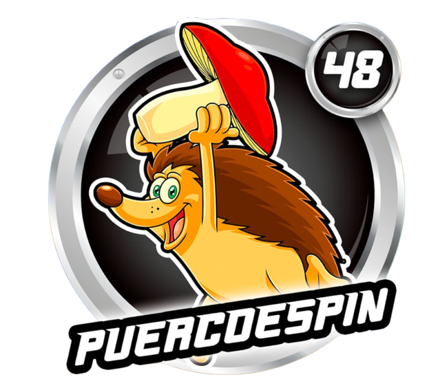 PUERCOESPIN